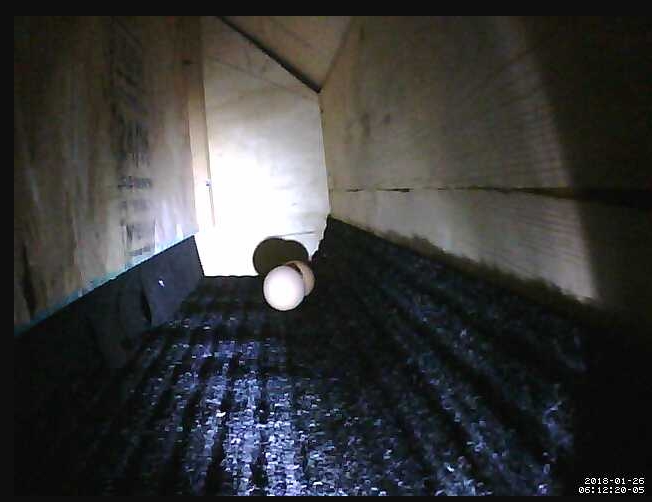 images/nest-box-cam-03.jpg